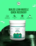 Safoof Mass Gain Herbal Weight Gain Powder Natural Body Mass Support Formula (100g) - Image 2
